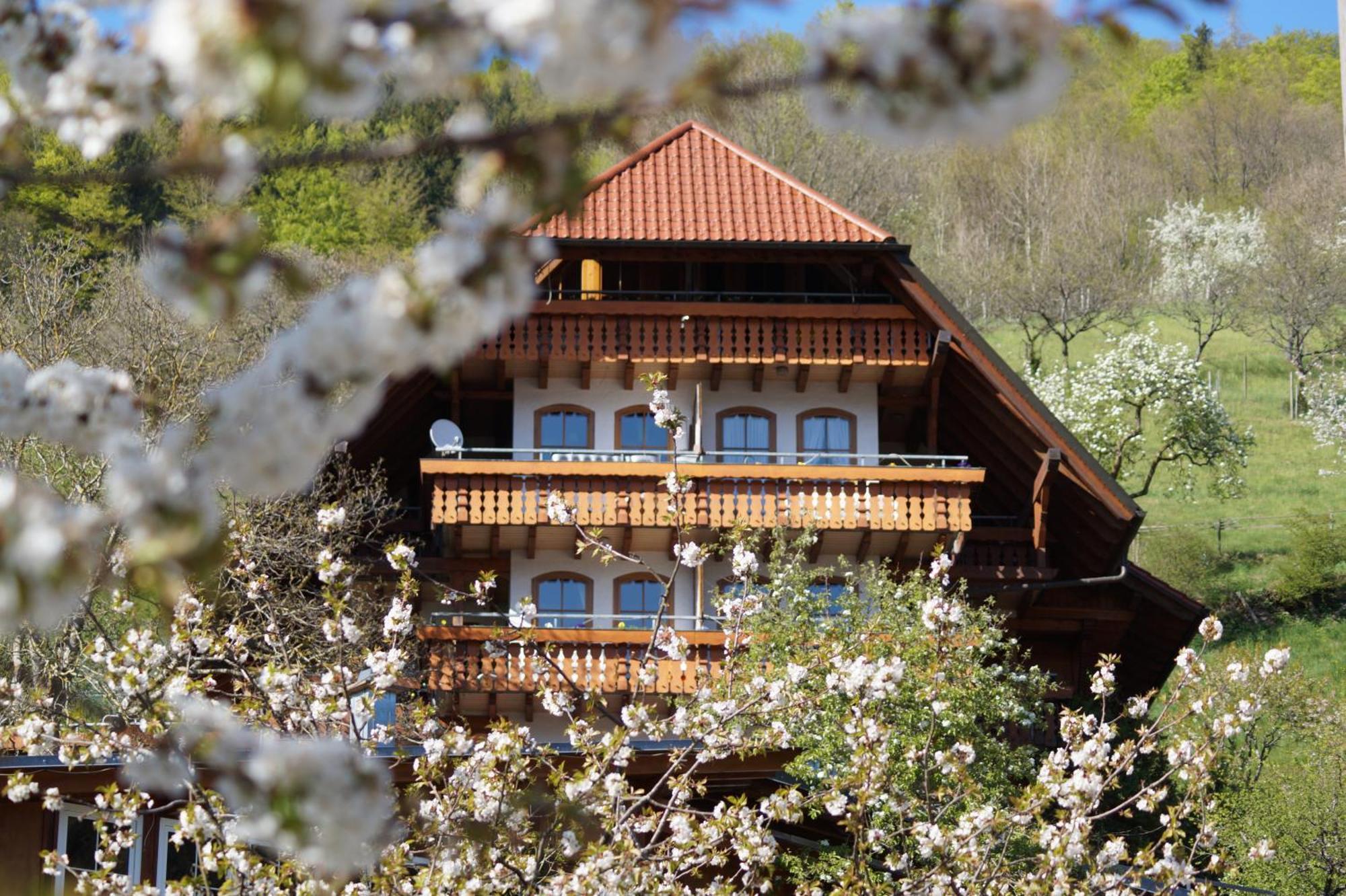 Kurparkhotel Faißt Bad Peterstal-Griesbach Bagian luar foto
