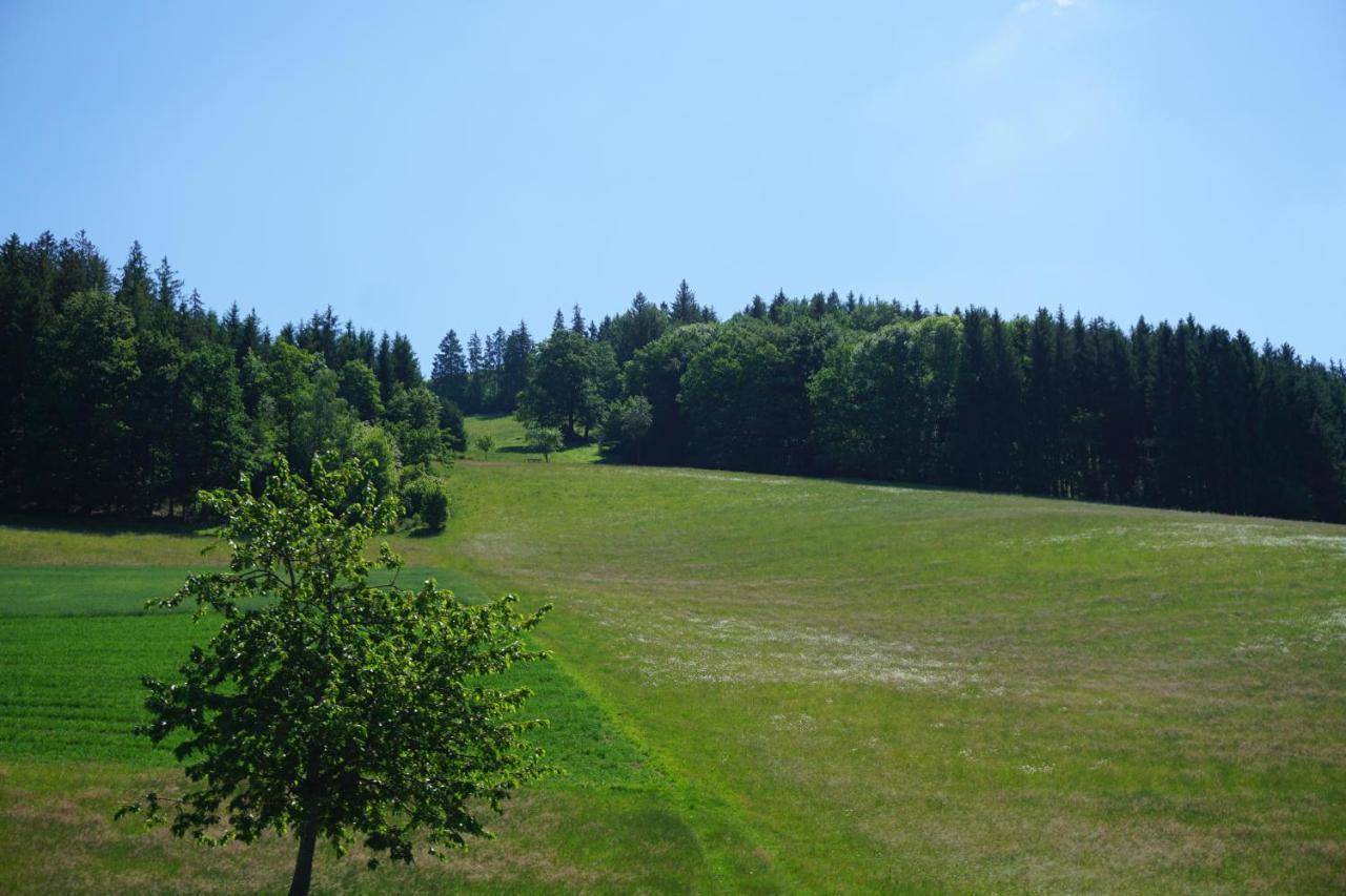 Kurparkhotel Faißt Bad Peterstal-Griesbach Bagian luar foto